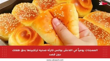 المعجنات يومياً في اللانش بوكس كارثة صحية ترتكبينها بحق طفلك دون قصد